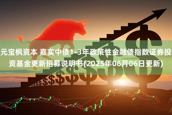 元宝枫资本 嘉实中债1-3年政策性金融债指数证券投资基金更新招募说明书(2025年06月06日更新)