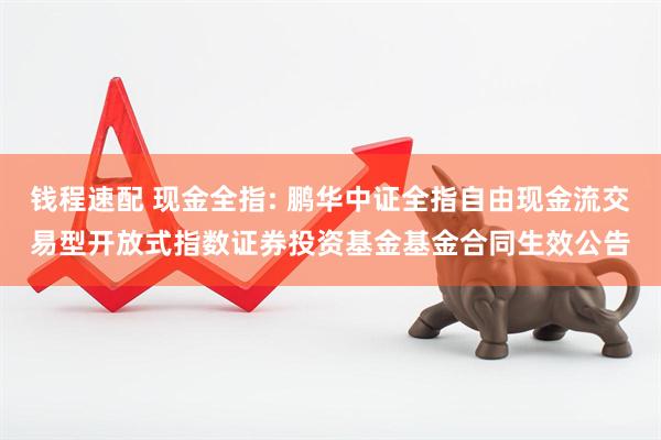 钱程速配 现金全指: 鹏华中证全指自由现金流交易型开放式指数证券投资基金基金合同生效公告
