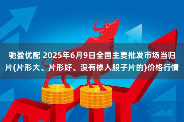 驰盈优配 2025年6月9日全国主要批发市场当归片(片形大、片形好、没有掺入股子片的)价格行情