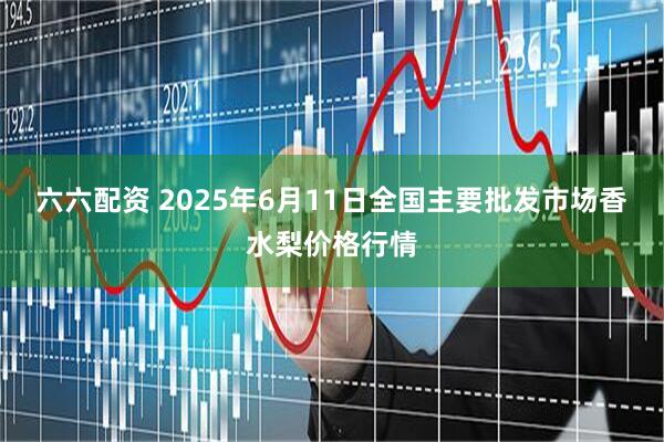 六六配资 2025年6月11日全国主要批发市场香水梨价格行情