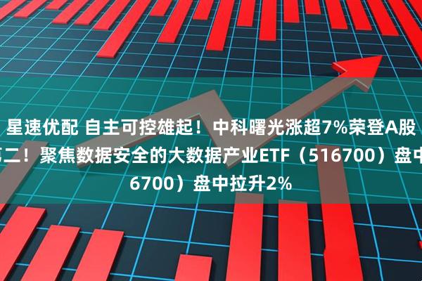 星速优配 自主可控雄起！中科曙光涨超7%荣登A股吸金榜第二！聚焦数据安全的大数据产业ETF（516700）盘中拉升2%
