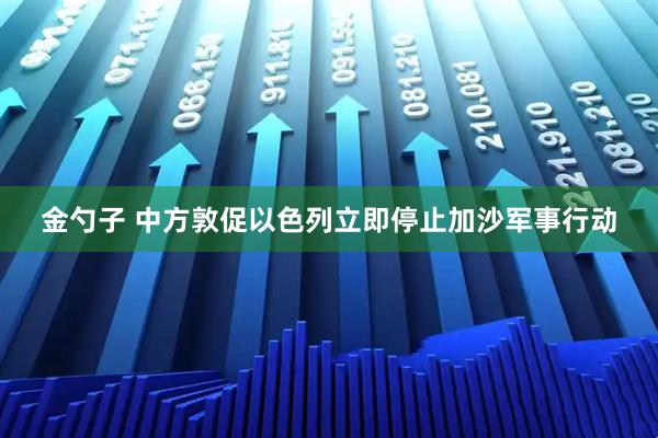 金勺子 中方敦促以色列立即停止加沙军事行动